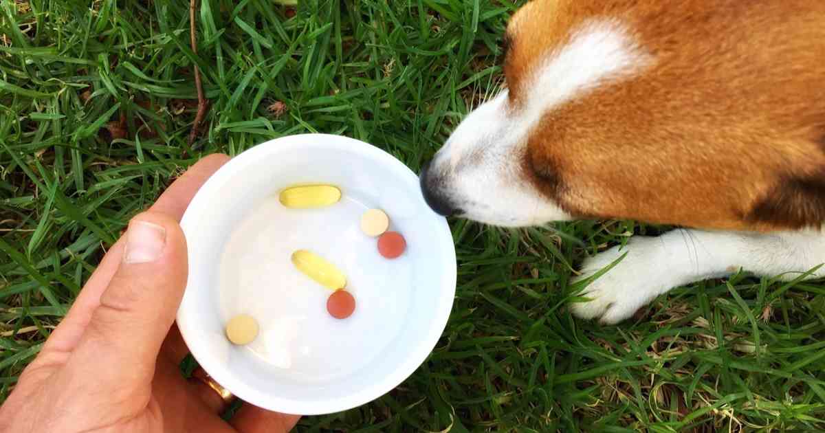 How to Donate Eggs
