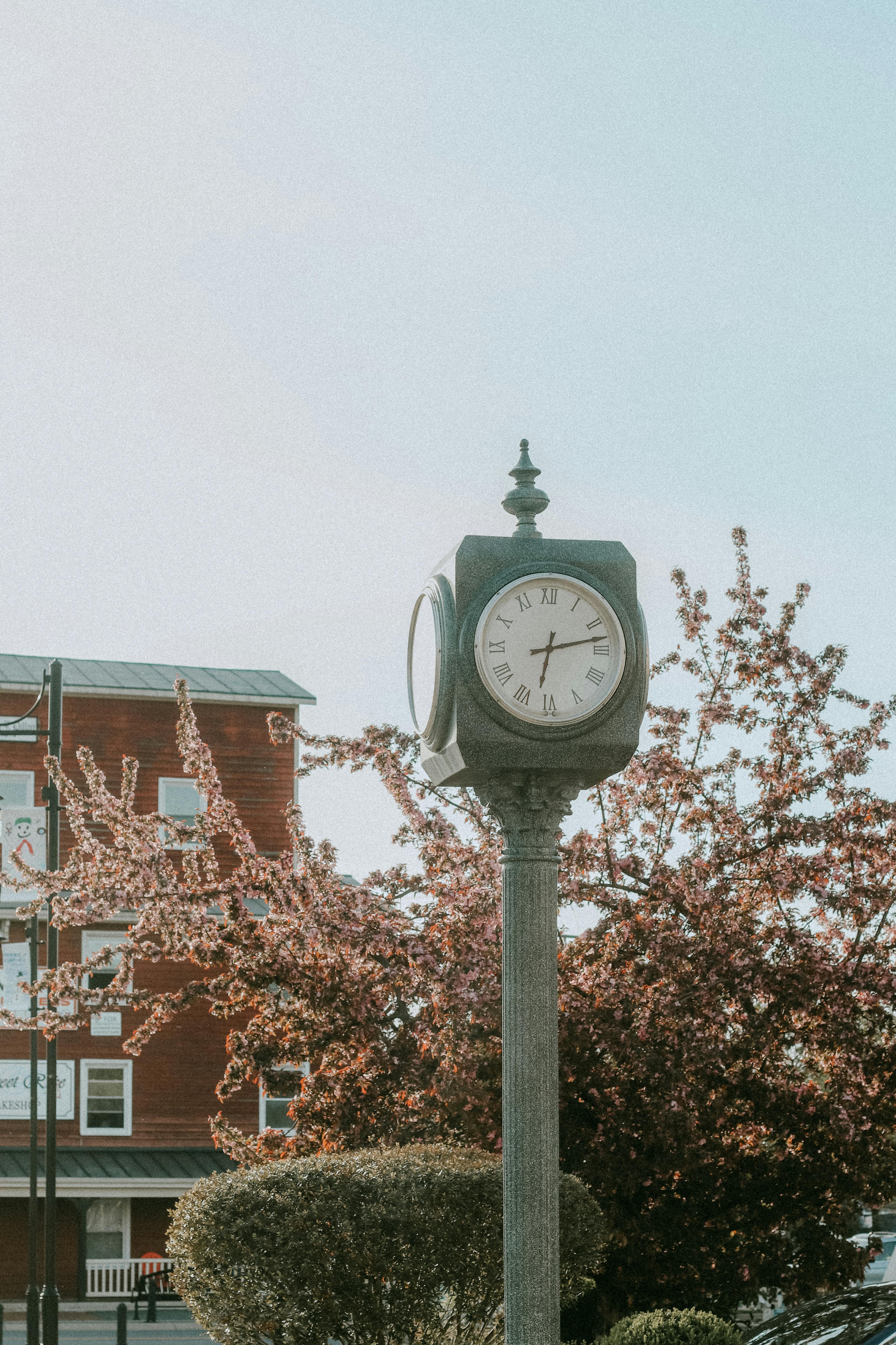 Best 10 Options for High School Graduation Credits in GA